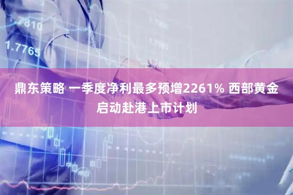 鼎东策略 一季度净利最多预增2261% 西部黄金启动赴港上市计划