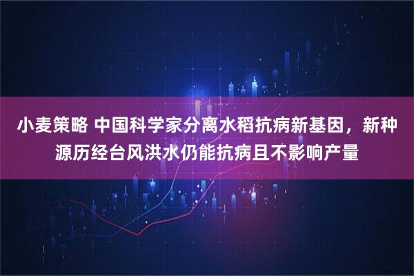 小麦策略 中国科学家分离水稻抗病新基因，新种源历经台风洪水仍能抗病且不影响产量