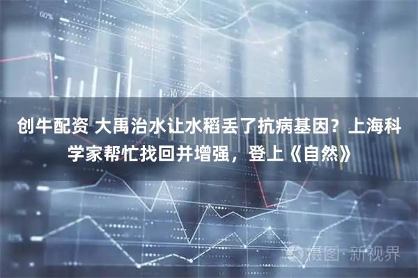 创牛配资 大禹治水让水稻丢了抗病基因？上海科学家帮忙找回并增强，登上《自然》